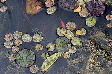 今年PS5上发售的Xbox游戏可能比索尼自己都多